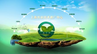 上海農業技術推廣中心軟件開發 驅動現代農業的數字化引擎
